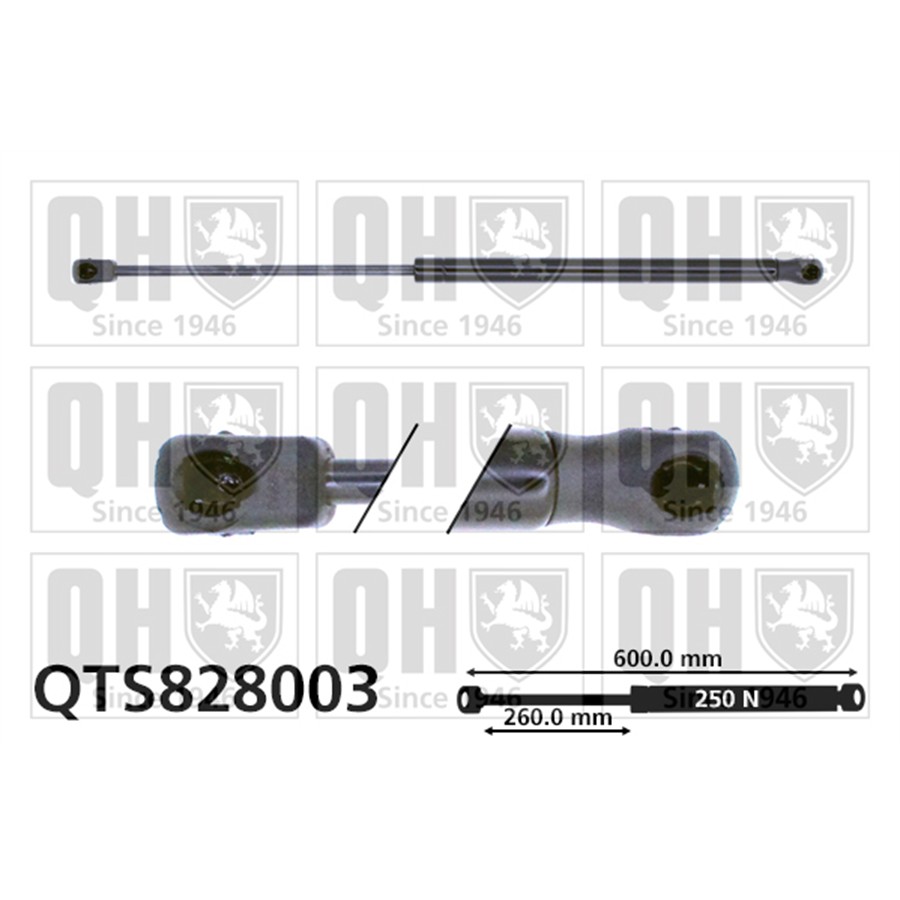 Vérin De Capot Quinton Hazell Qts828003