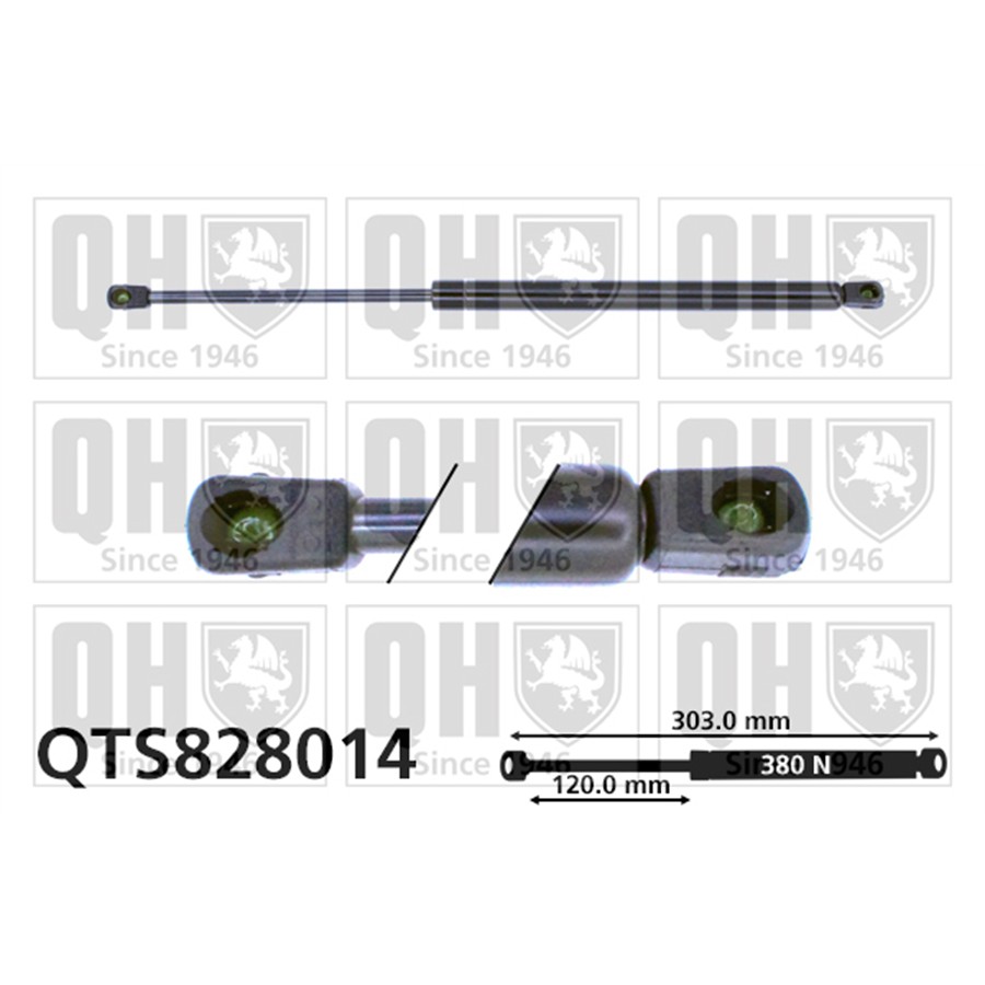 Vérin De Capot Quinton Hazell Qts828014