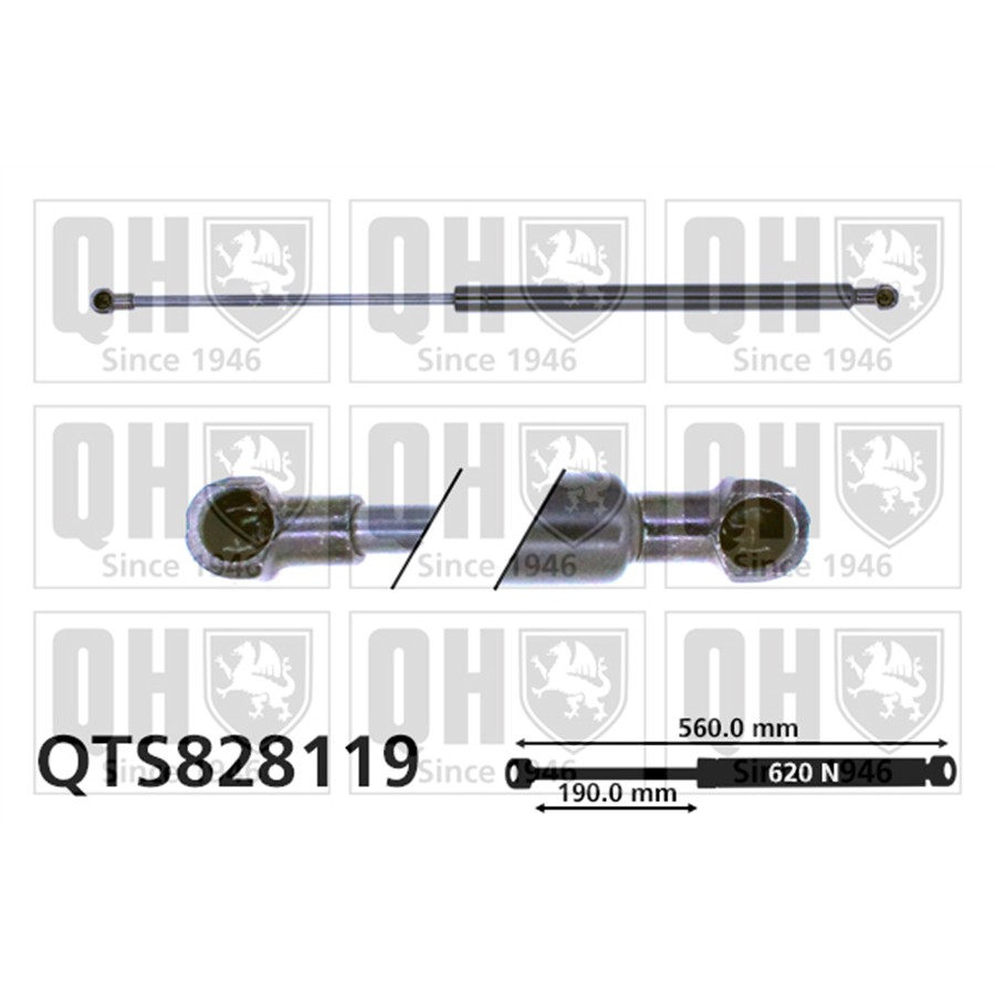 Vérin De Coffre Quinton Hazell Qts828119