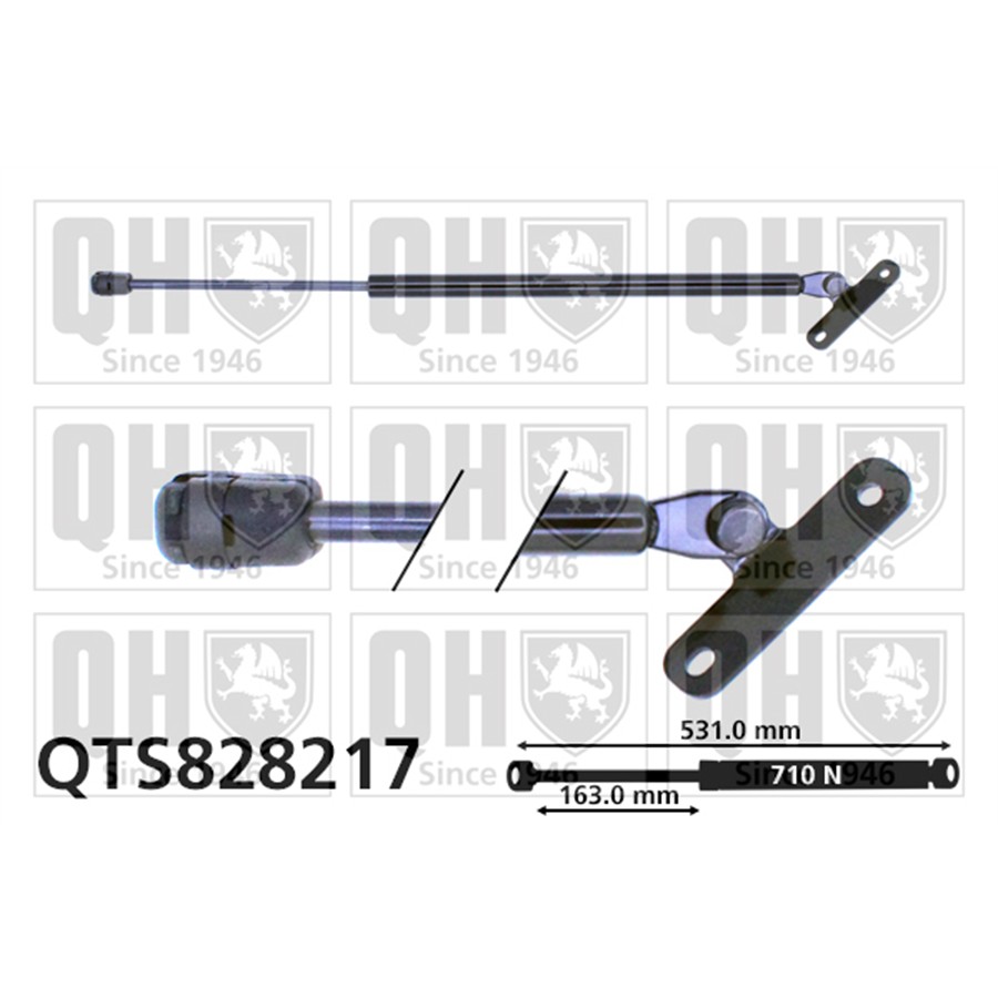 Vérin De Coffre Quinton Hazell Qts828217
