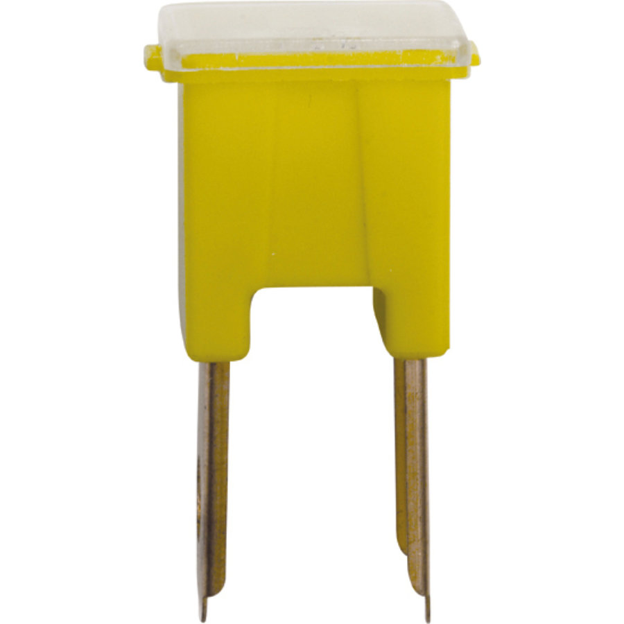 Fusible Japonais Mâle De Type B Restagraf 60 A