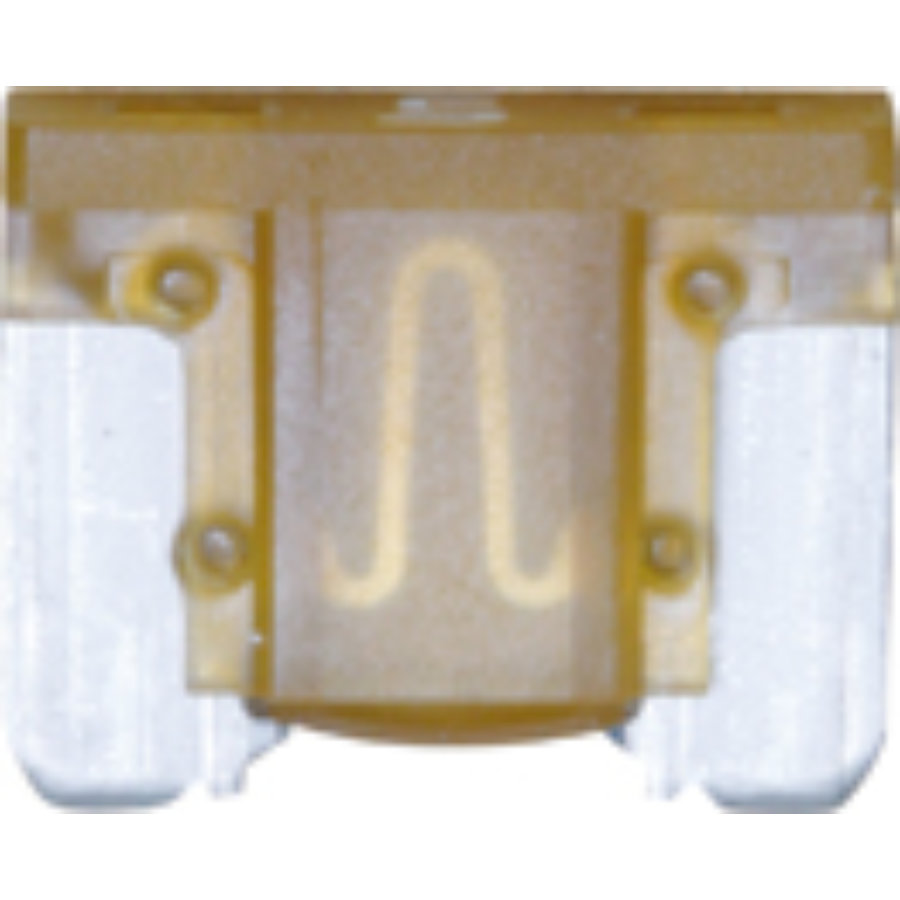 Mini Fusible À Broches De Type Low Profile Restagraf 5 A