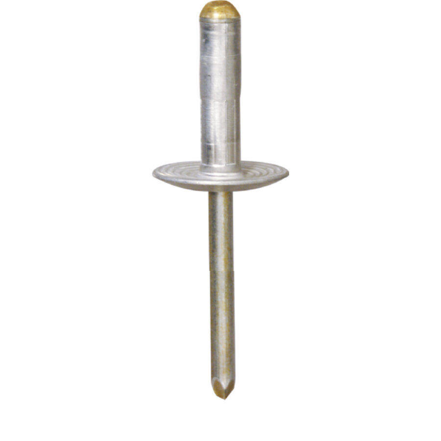 Rivet Alu Tête Large 4,8 X 17 Mm Pour Haut-parleur