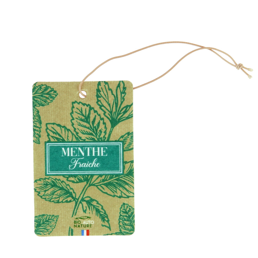Désodorisant Voiture Bio Auto Nature Menthe