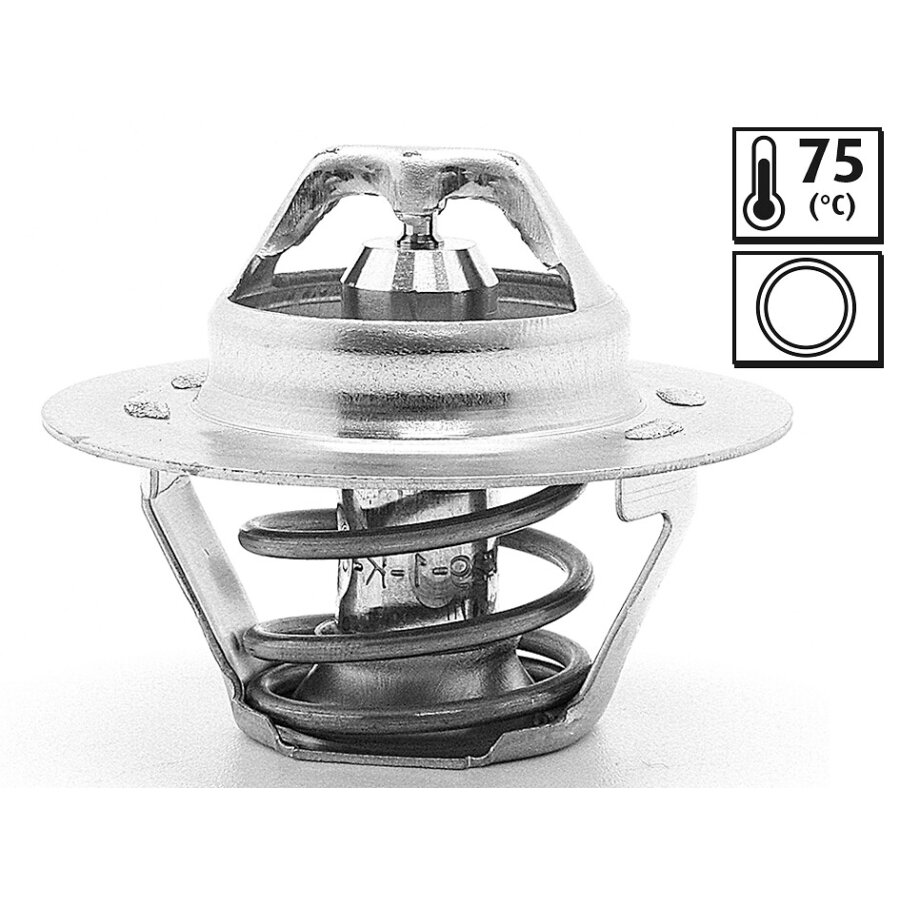 Thermostat Valeo 819859