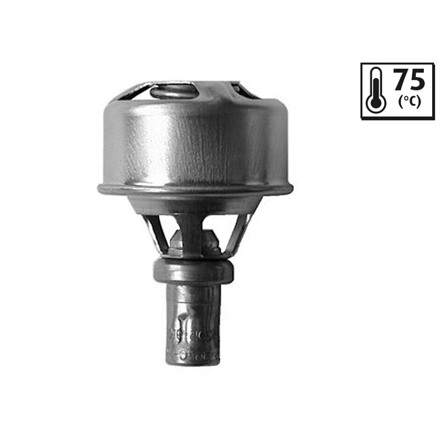 Thermostat Valeo 819921