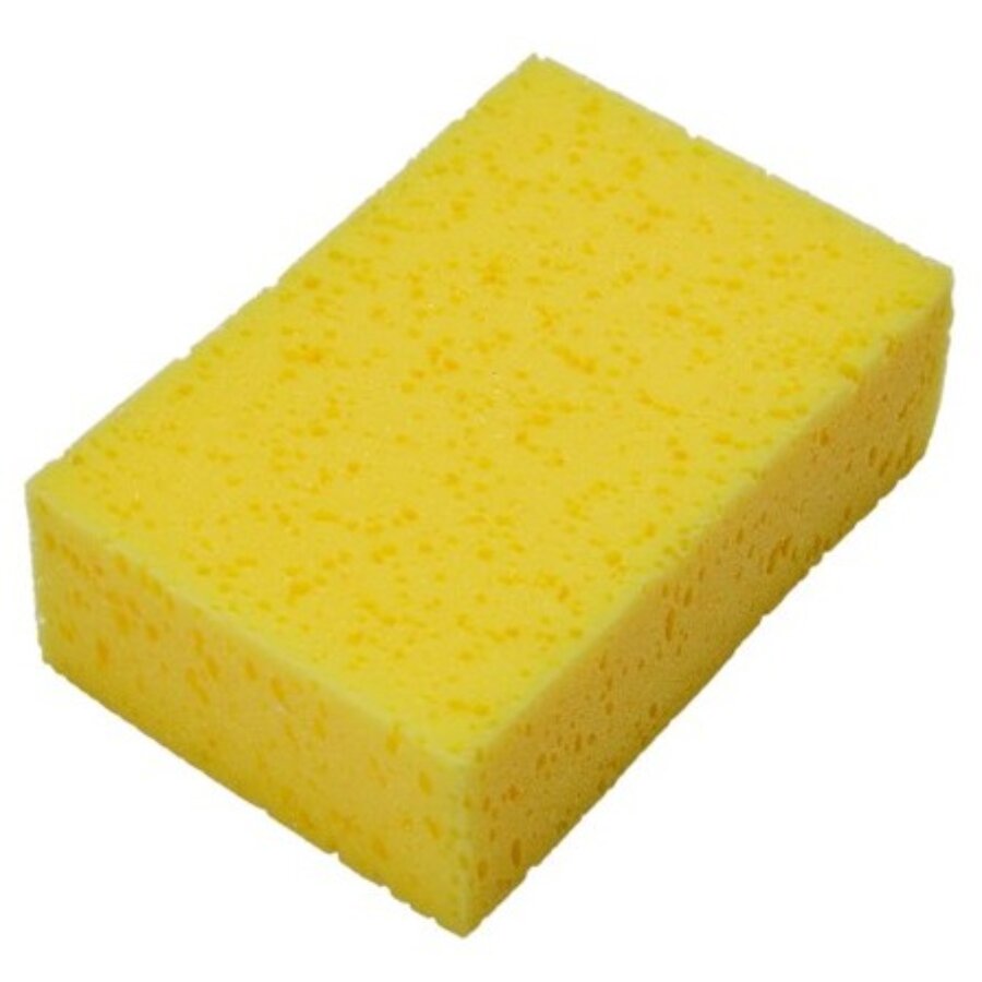 Eponge De Lavage Carrosserie Norauto