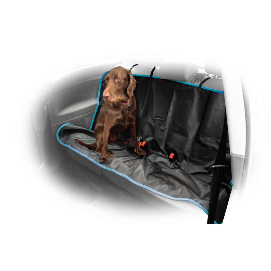 Housse de protection auto pour chien sièges arrières NORAUTO - Norauto