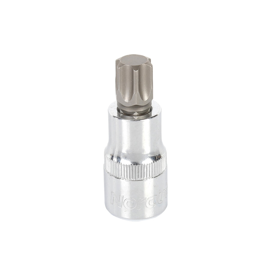 Douille Mâle Norauto Carré 1/2" Torx T60