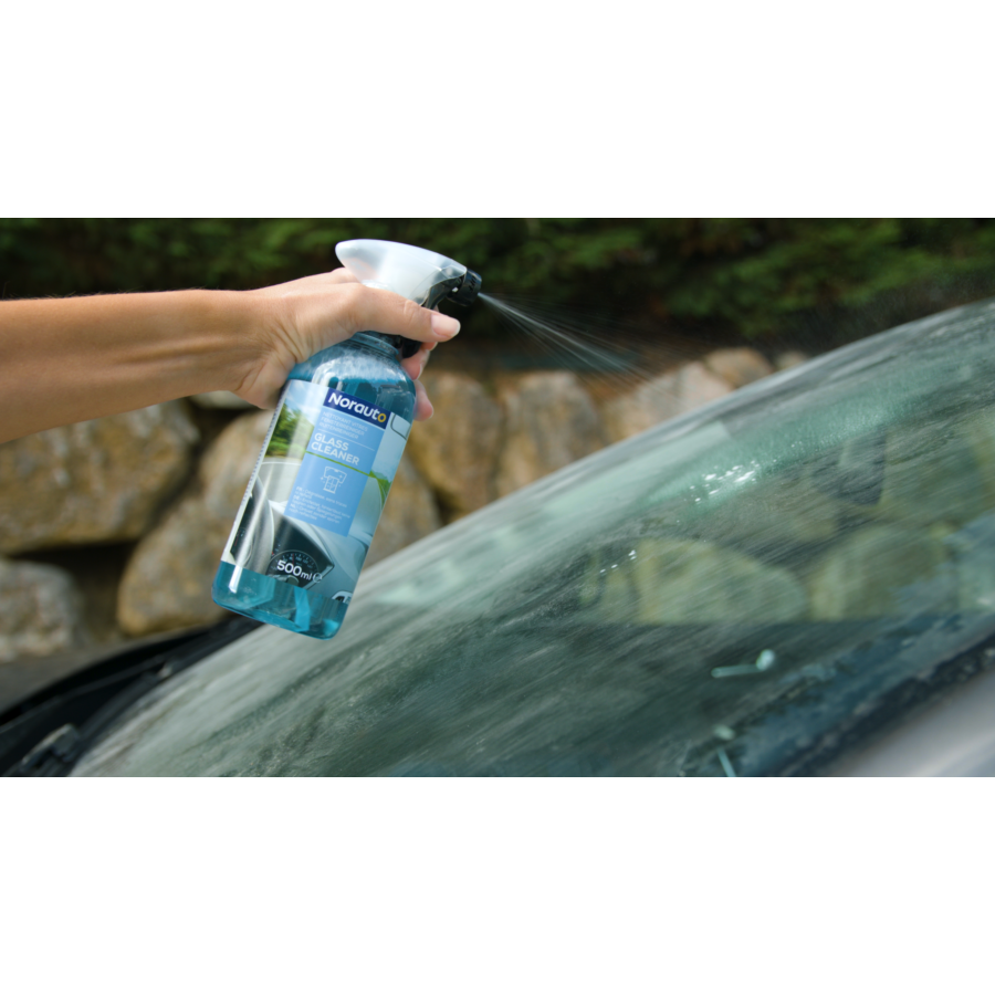 Nettoyant pour vitres de voiture 500 ml PROTECTON