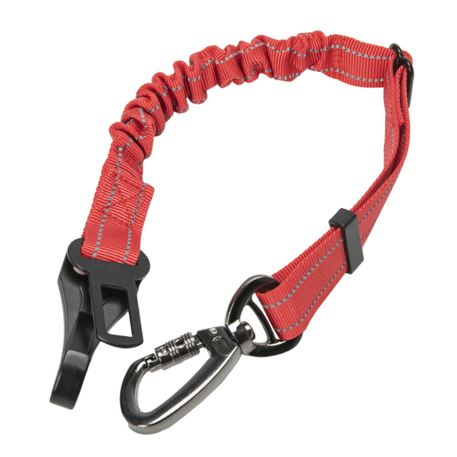 Laisse de ceinture de securite reglable pour chien NORAUTO