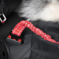 Ceinture de sécurité pour chien norauto hotsell