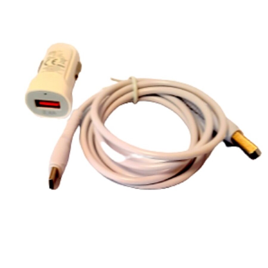 Chargeur Ac 12/24v Usb 2,4a + Câble Type-c 1 M