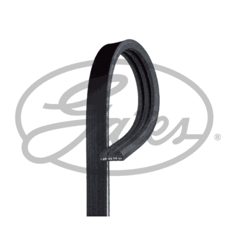 Courroie D'accessoires Gates 3pk738