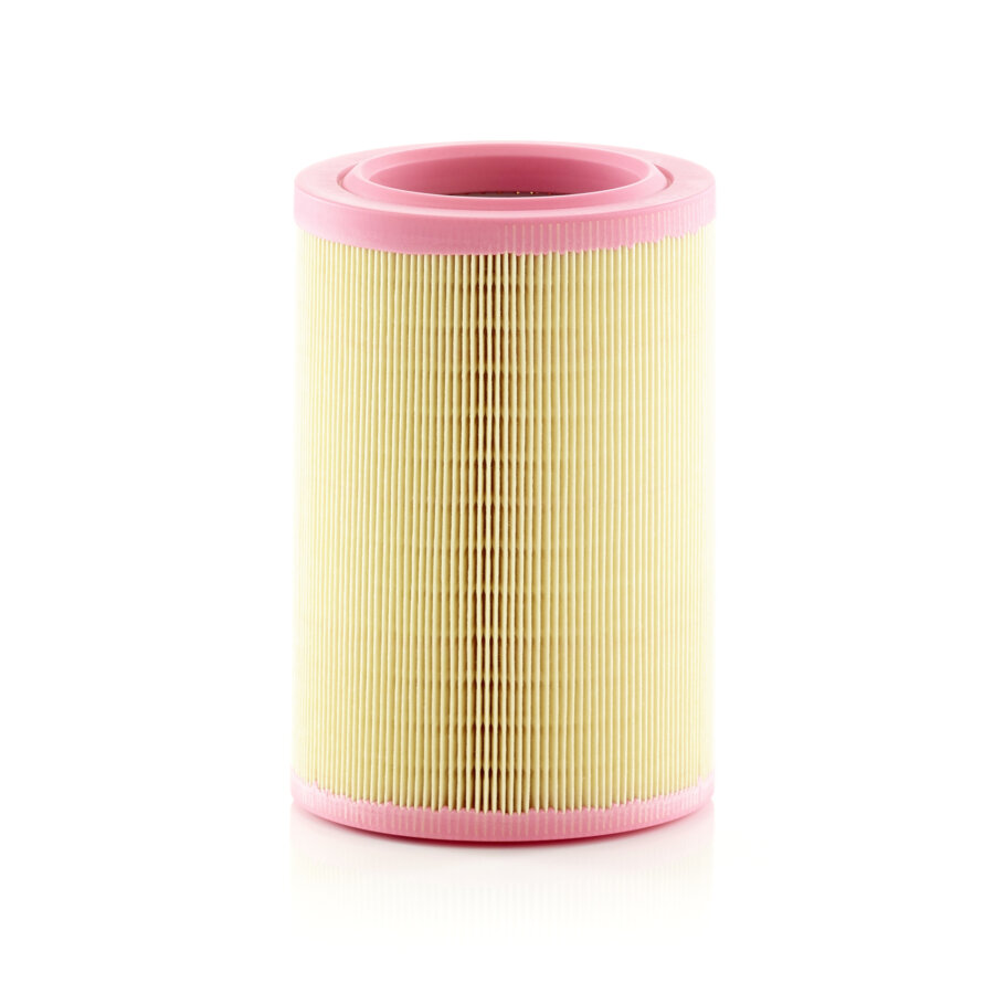 Filtre À Air Mann-filter C15005