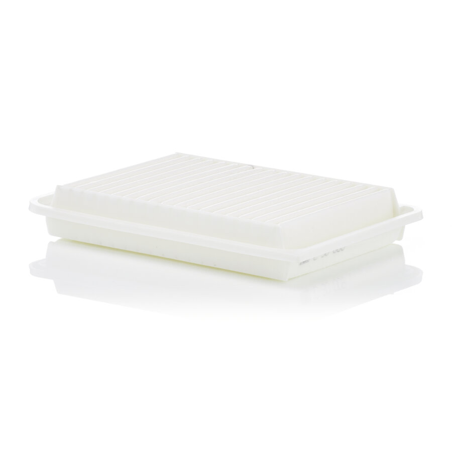 Filtre À Air Mann-filter C30009