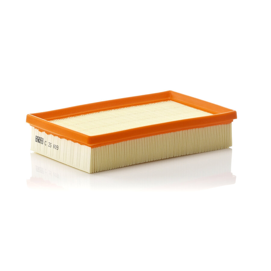 Filtre À Air Mann-filter C25009