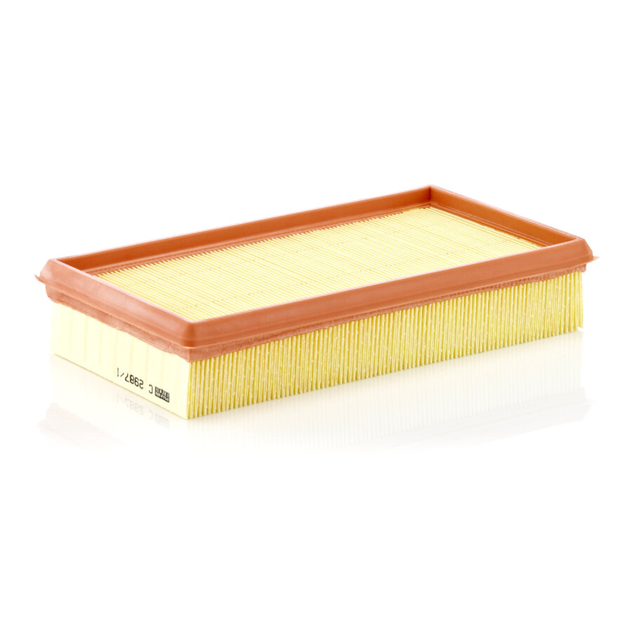 Filtre À Air Mann-filter C2987/1