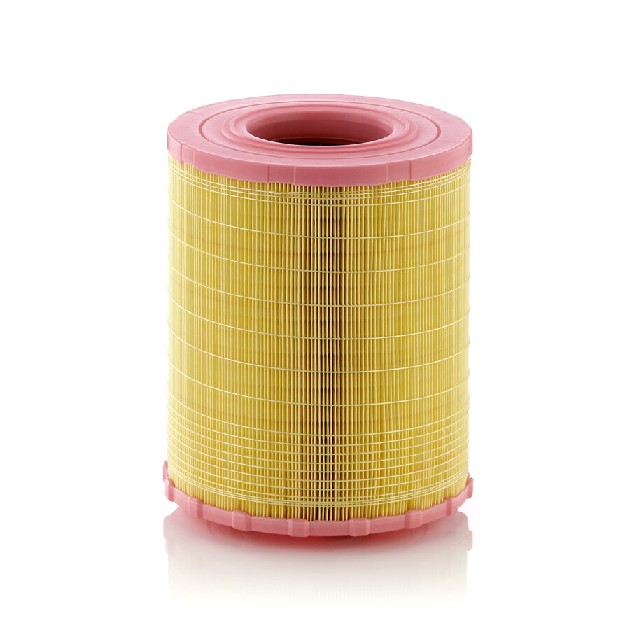 Filtre À Air Mann-filter C29010