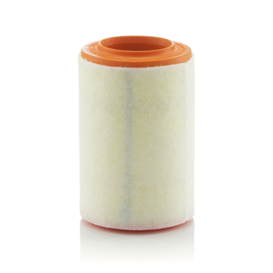 Filtre À Air Mann-filter C15007