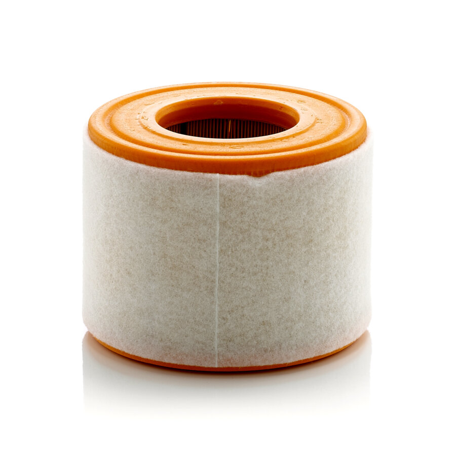Filtre À Air Mann-filter C15010