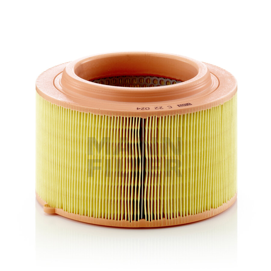 Filtre À Air Mann-filter C22024