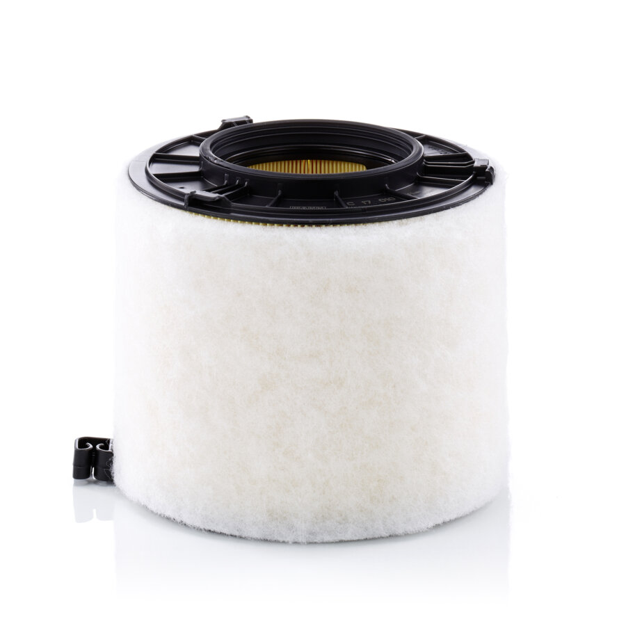 Filtre À Air Mann-filter C17010