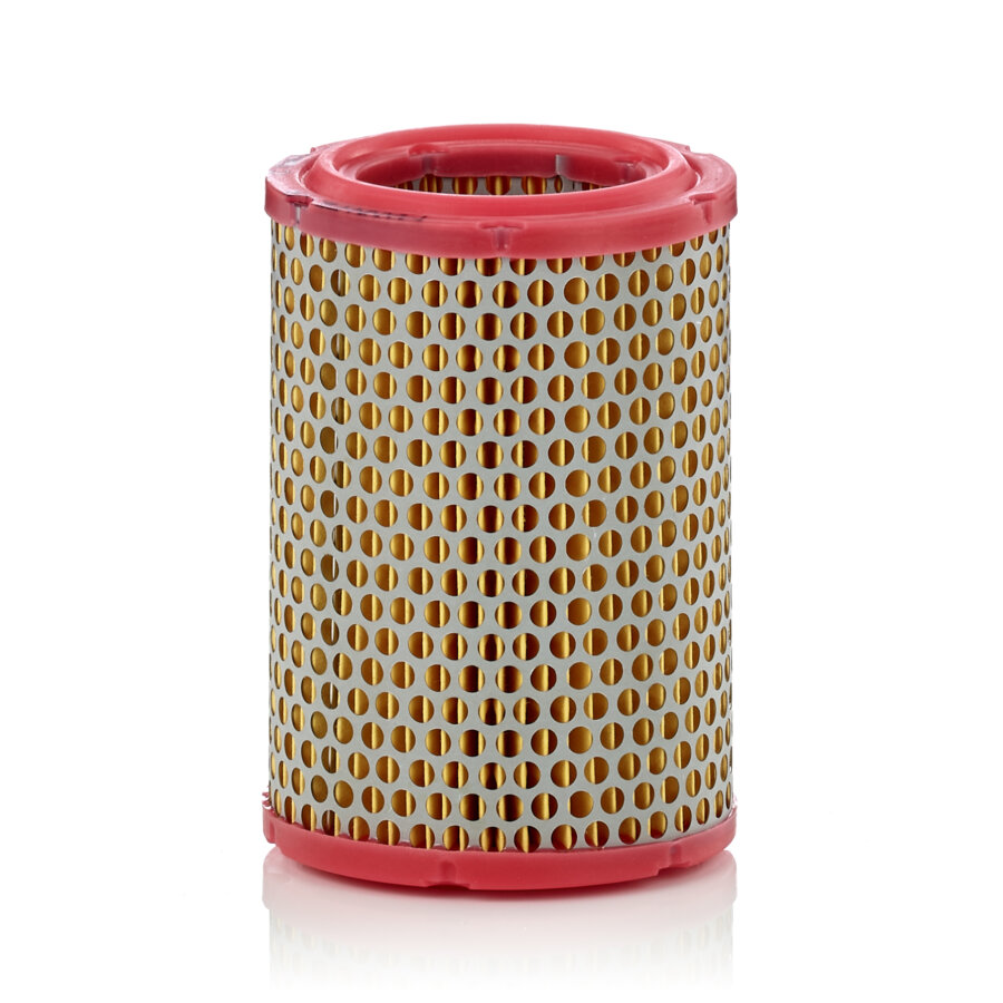 Filtre À Air Mann-filter C1134/1
