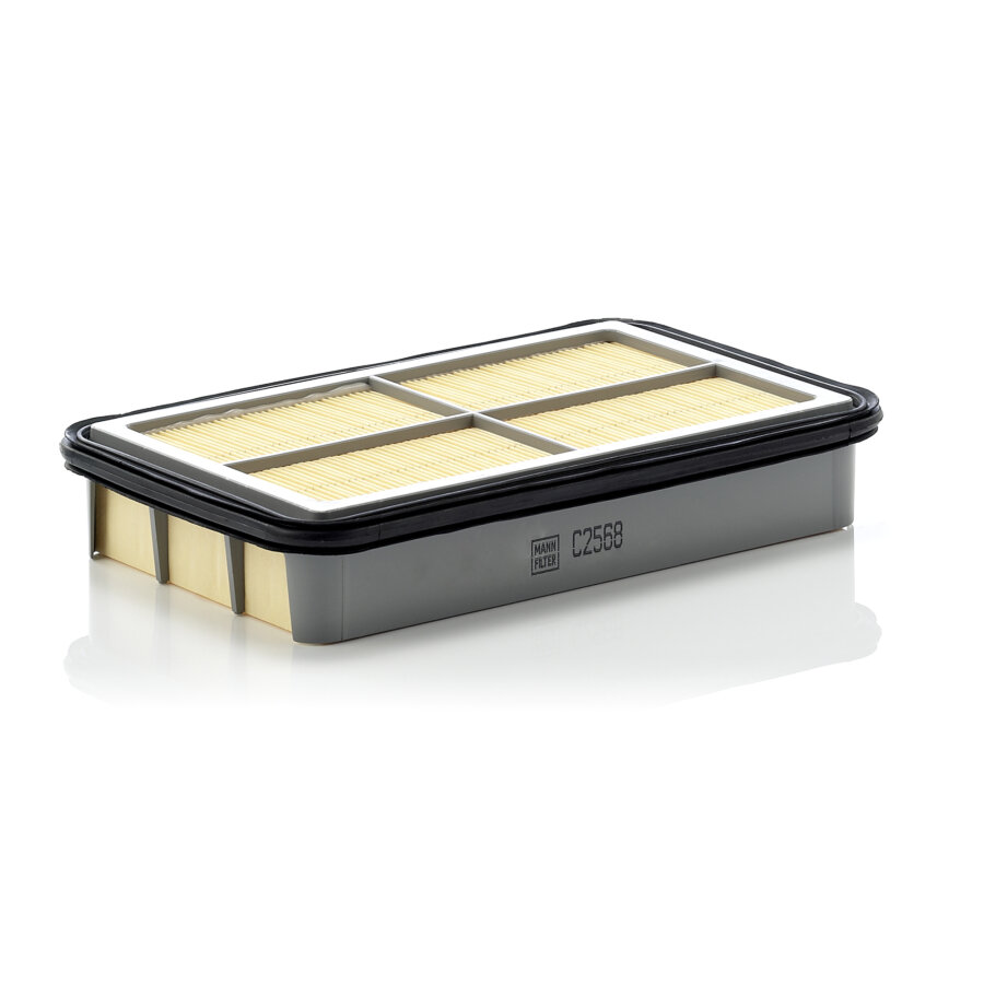 Filtre À Air Mann-filter C2568