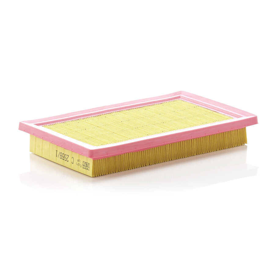 Filtre À Air Mann-filter C2568/1