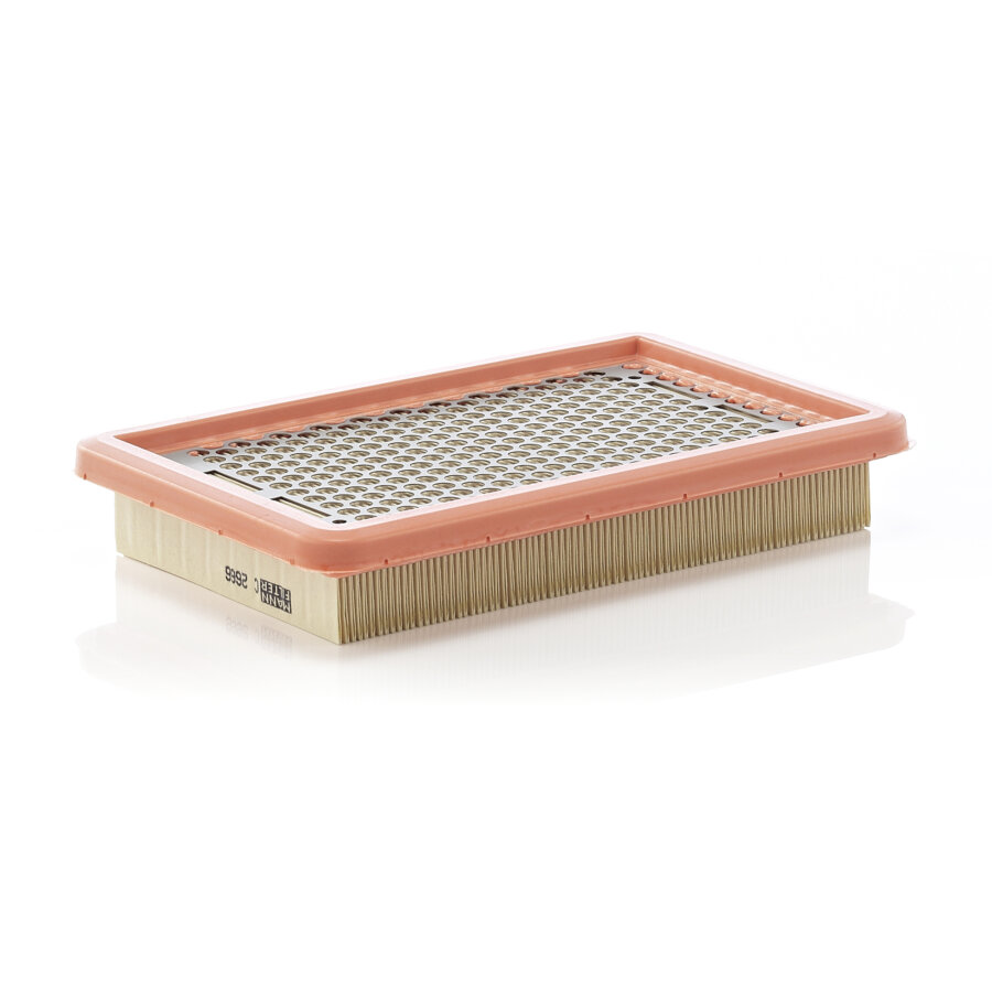 Filtre À Air Mann-filter C2666