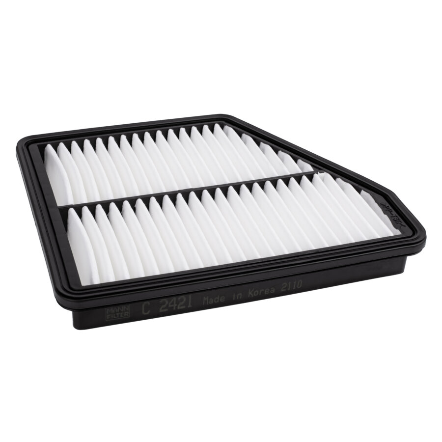 Filtre À Air Mann-filter C2421
