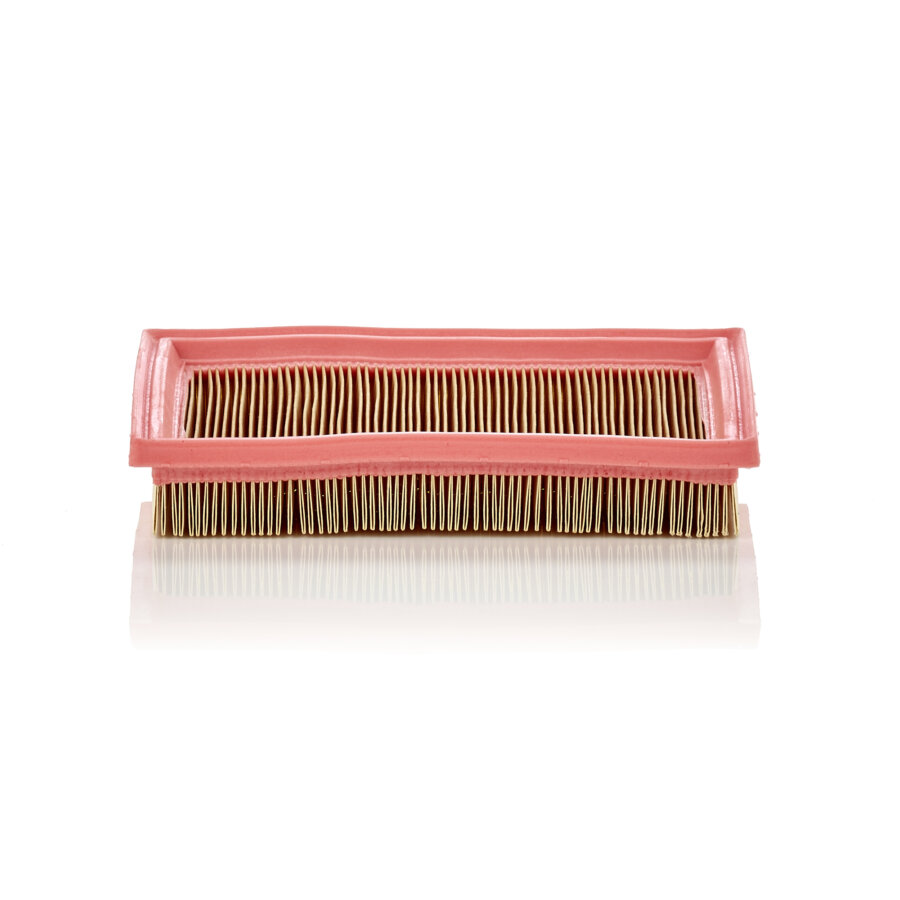 Filtre À Air Mann-filter C2244
