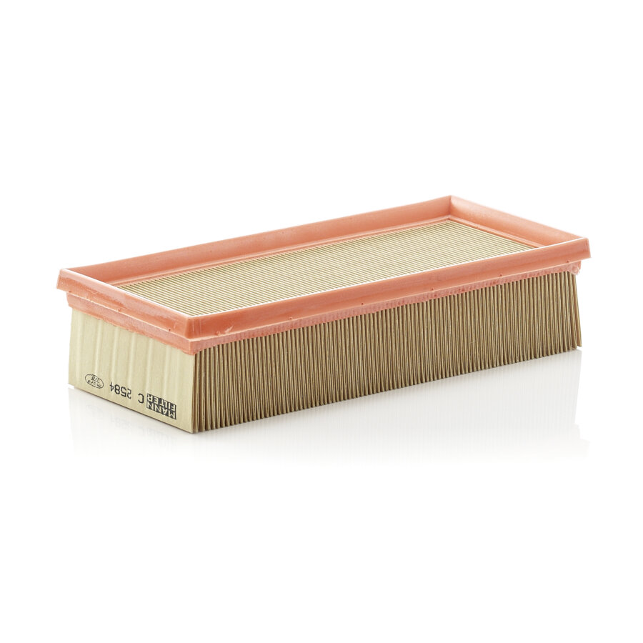 Filtre À Air Mann-filter C2584