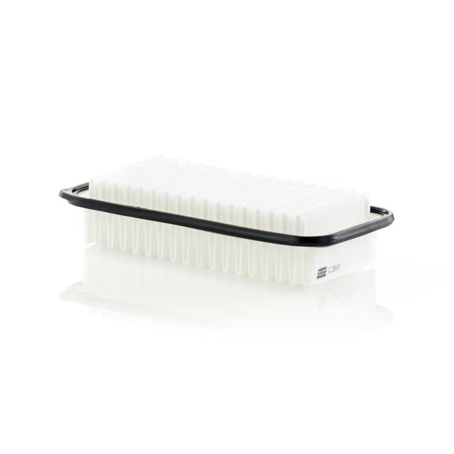 Filtre À Air Mann-filter C2513