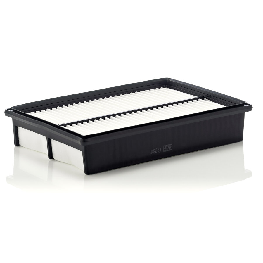 Filtre À Air Mann-filter C2841