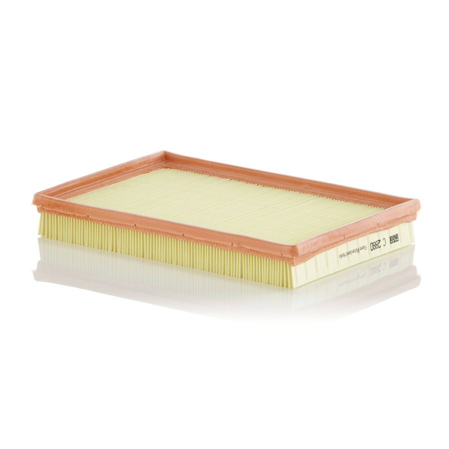 Filtre À Air Mann-filter C2880