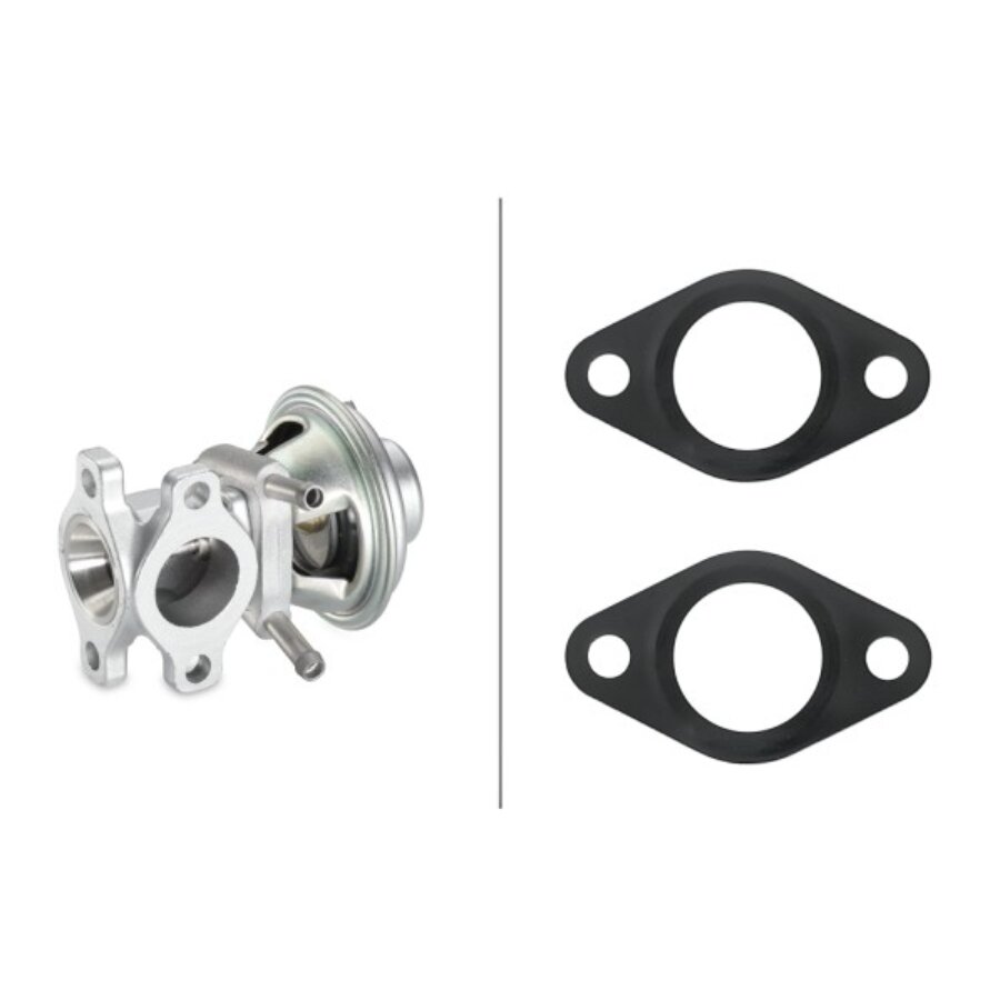 Vanne Egr Hella 6nu 010 171-481