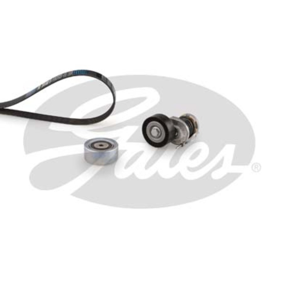 Kit De Courroies D'accessoires Gates K036pk1613
