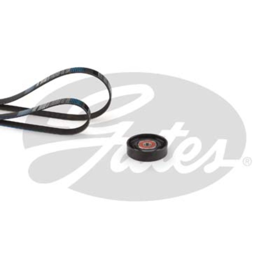 Kit De Courroies D'accessoires Gates K124pk813