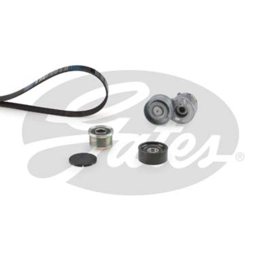 Kit De Courroies D'accessoires Gates K166pk1795