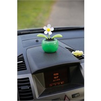 Fleur dansante à énergie solaire - Fleurs dansantes - Fleur d'abeille -  Jouets à énergie solaire - Jouet dansant - voiture pour bureau ou voiture
