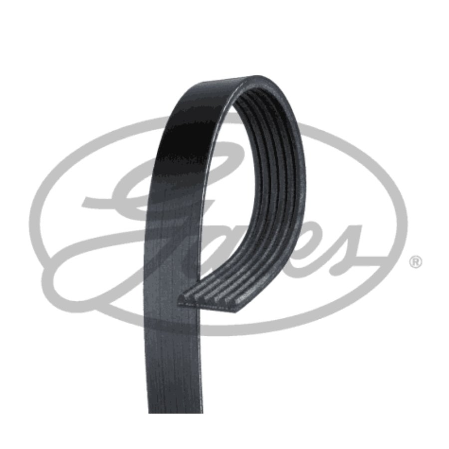 Courroie Trapézoïdale À Nervures Gates 6pk987est