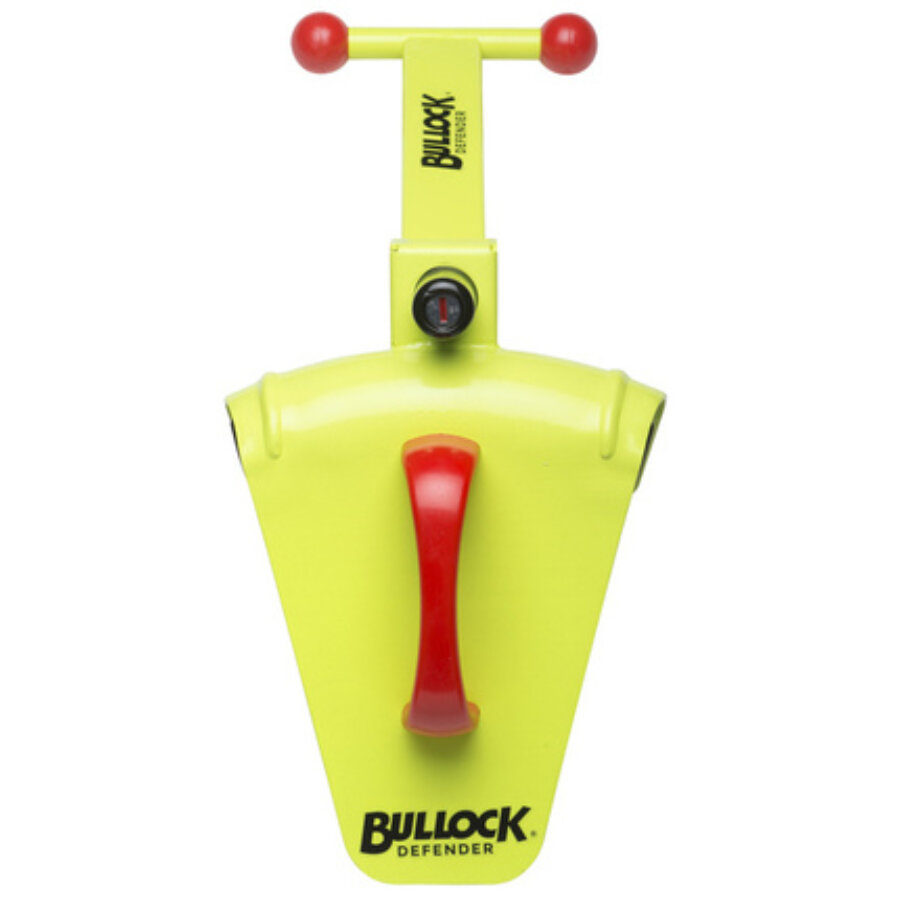 HP Autozubehör Canne Antivol Pour Volant, Protection Antivol V982793