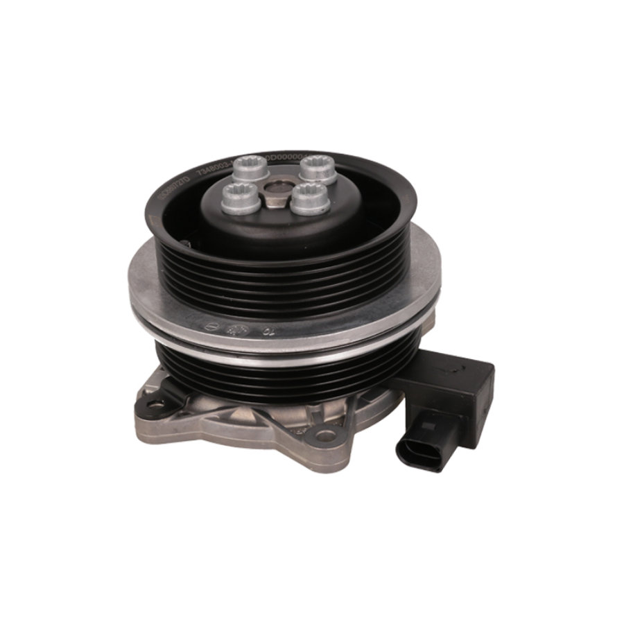 Pompe À Eau Électrique Metelli 24-1379