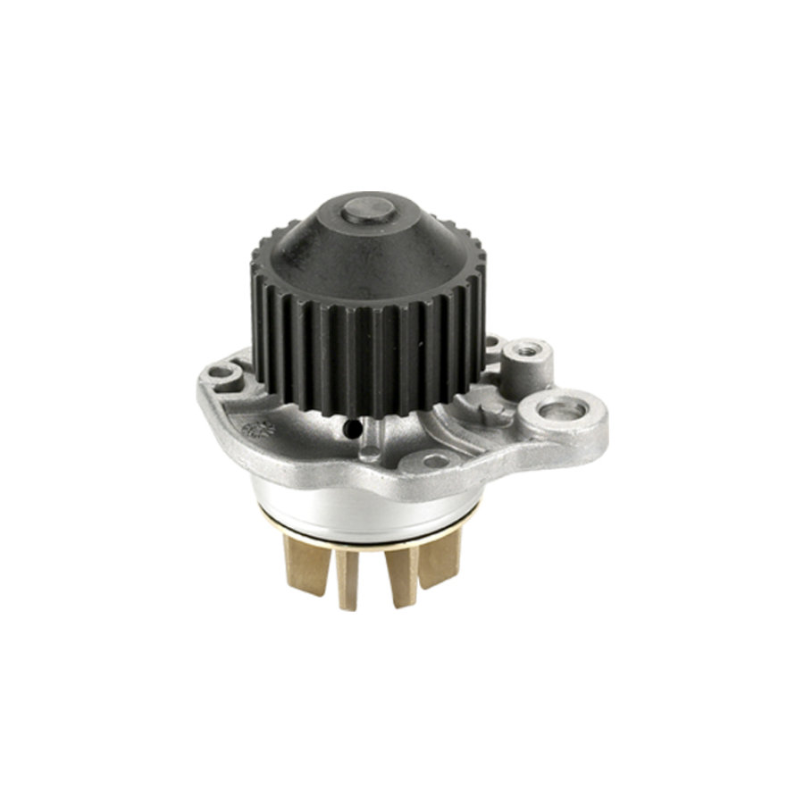 Pompe À Eau Metelli 24-0653