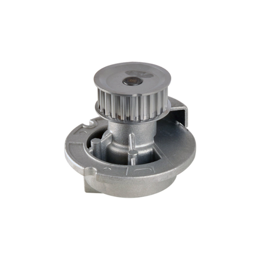 Pompe À Eau Metelli 24-0727