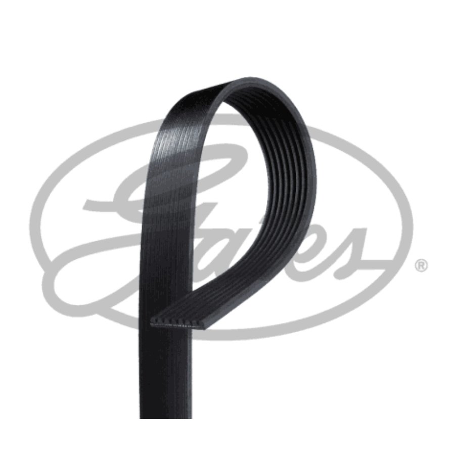 Courroie D'accessoires Gates 8pk2035