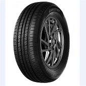 Pneu GOALSTAR CATCHGER GP100 205/55 R16 91 V