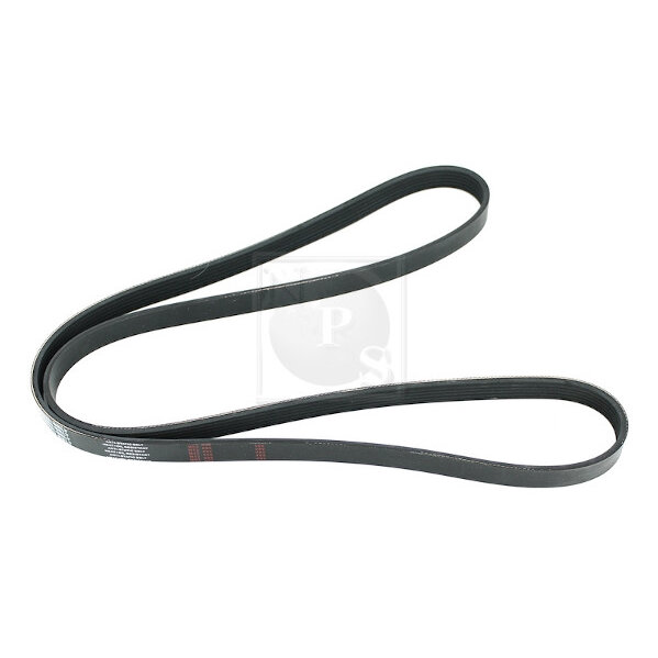 Courroie D'accessoires Nps T111a54